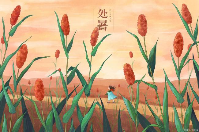 处暑时节如何养生防病