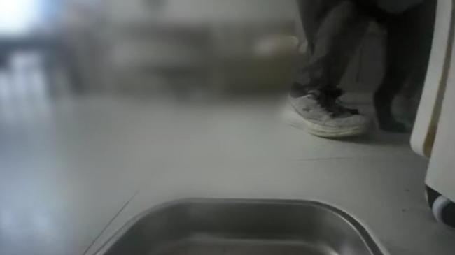 男子入室盗窃 屋内小狗上演神助攻 宠物无意间助破案
