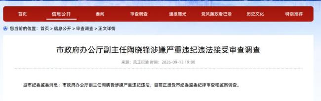 重庆市政府办公厅副主任陶晓锋被查
