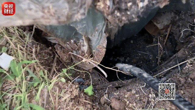 部分农村治污工程不治污反致污 治理项目问题频出