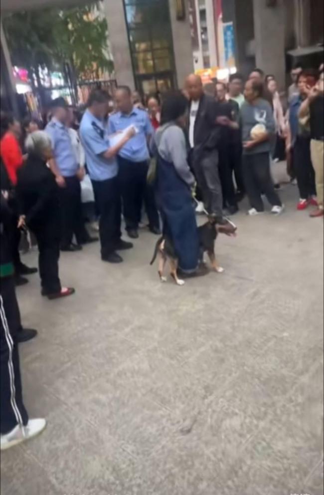 女童被烈犬咬伤母亲发声