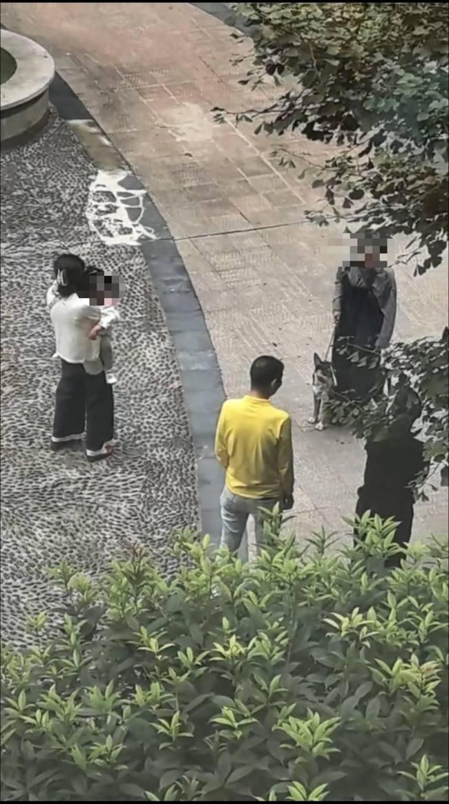 女童被烈犬咬伤母亲发声 婉拒采访引发关注