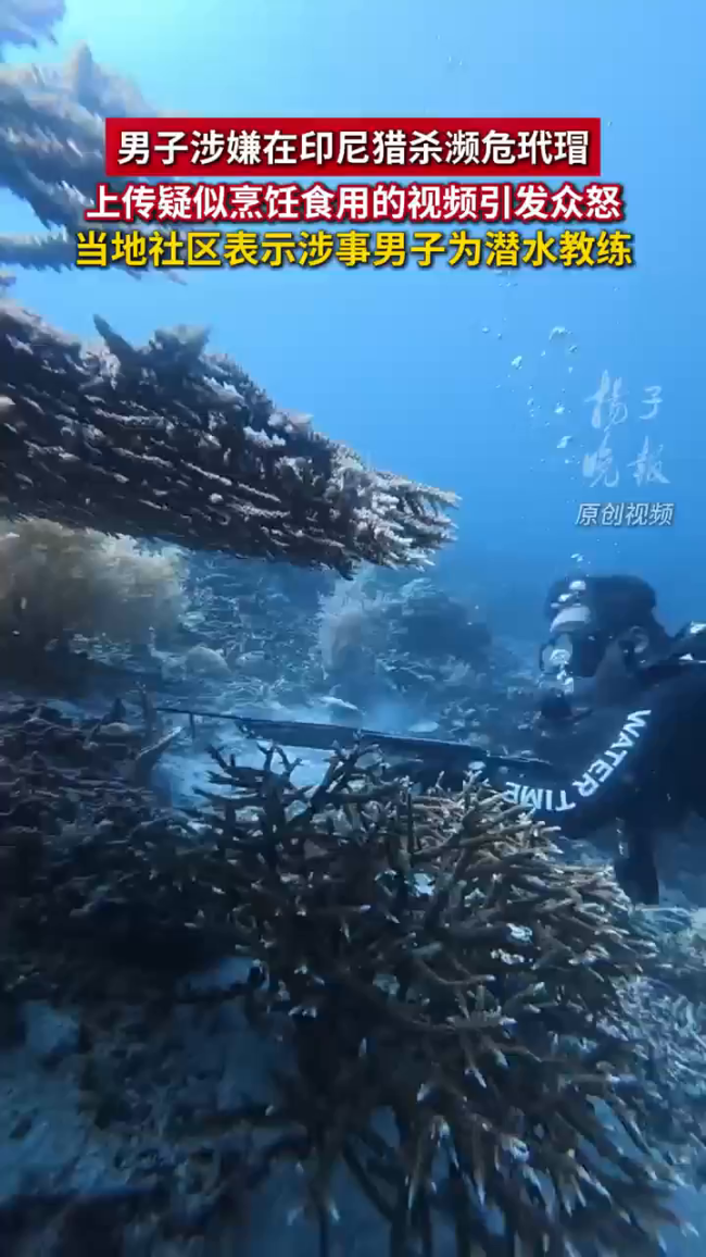 涉嫌渔猎玳瑁男将被遣送案发地调查