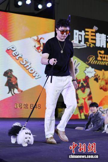 中国有1.26亿只“毛孩子