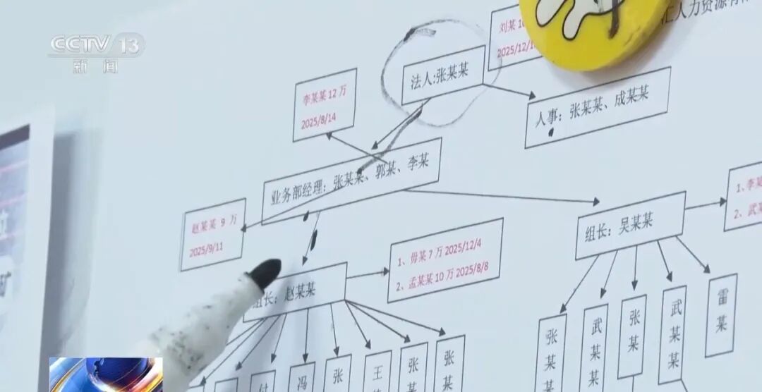 11人因“内部渠道”“特殊岗位”诈骗被刑拘