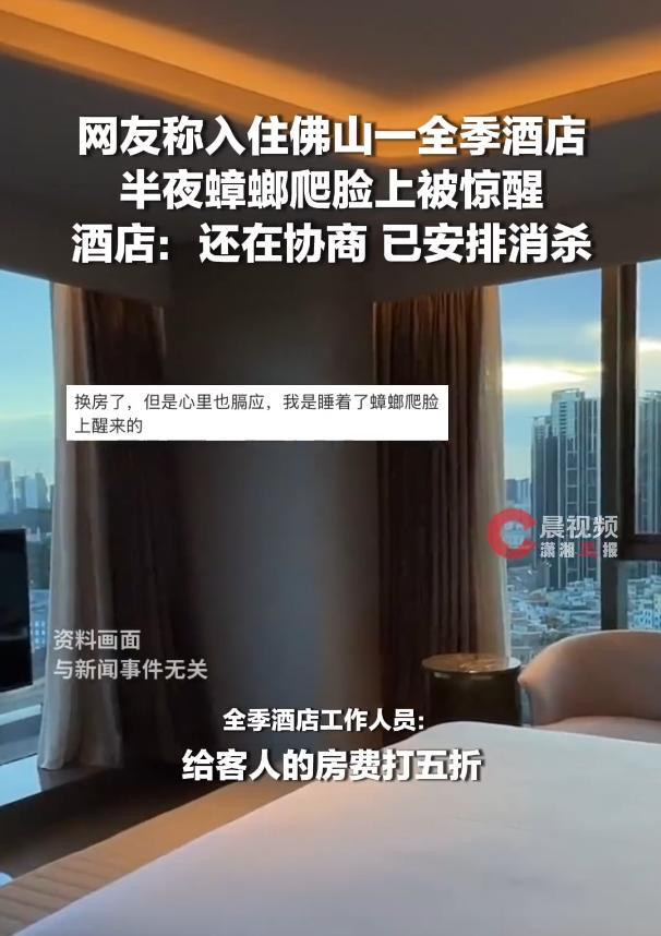 网友住酒店 半夜有蟑螂爬脸上