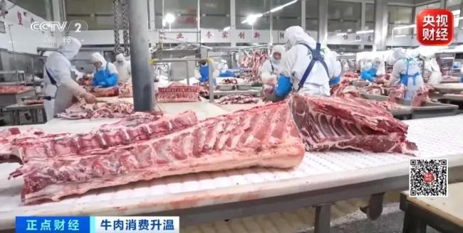 中秋国庆临近,全国牛肉价格持续上涨 供需变化推高行情