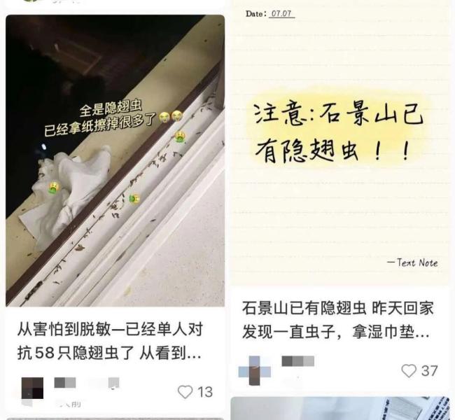 沈阳也发现隐翅虫了?专家回应 北方明显北扩趋势