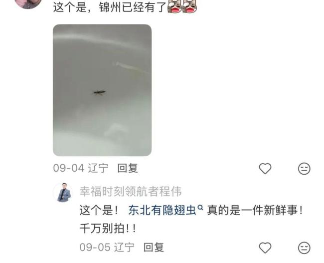 沈阳也发现隐翅虫了?专家回应 北方明显北扩趋势