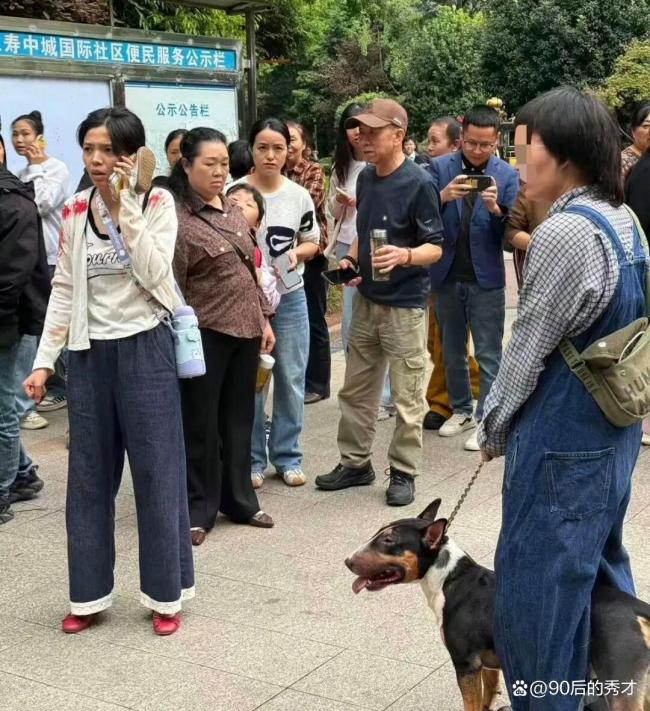 媒体评烈性犬牛头梗失控咬伤四五人 禁养犬盲区引发反思