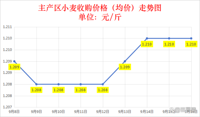 9月16日小麦收购价仅三家调整