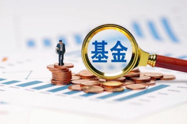 首批15只获批、第二批13只上报,28只摊余成本法债基为何落在中小公募