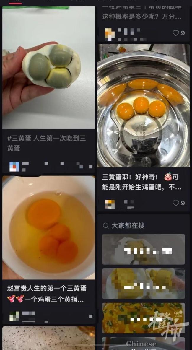 女子做饭发现三黄蛋:像中了彩票,罕见一幕引热议