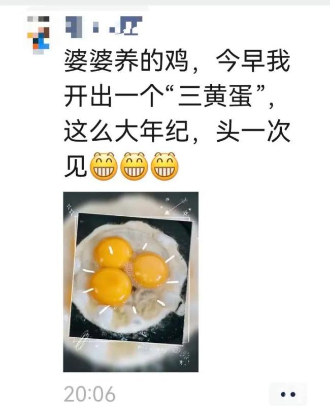 女子做饭发现三黄蛋:像中了彩票,罕见一幕引热议