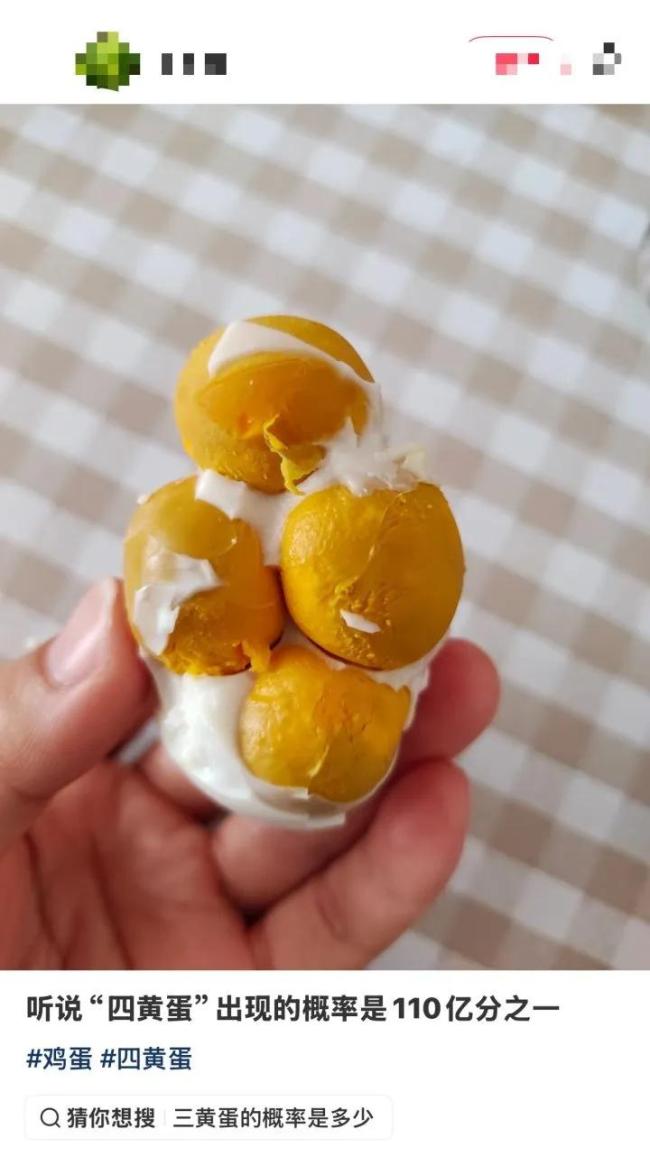 女子做饭发现三黄蛋:像中了彩票,罕见一幕引热议
