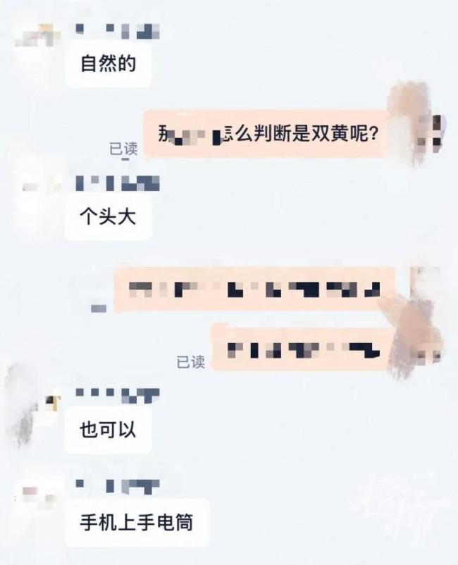 女子做饭发现三黄蛋:像中了彩票,罕见一幕引热议