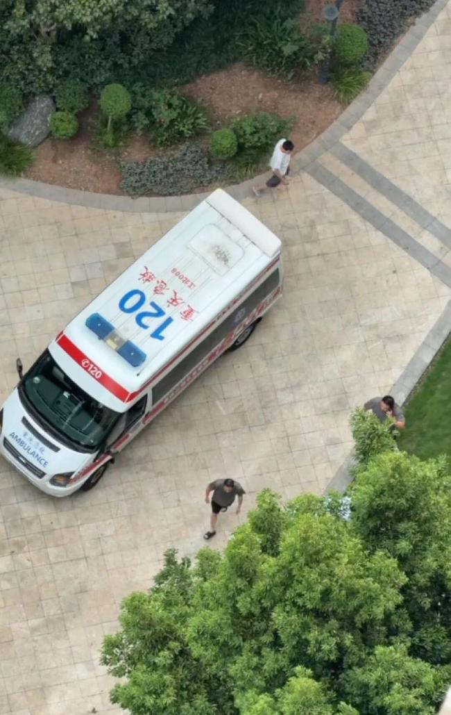 父亲遛狗2岁幼童独留家中坠亡 家庭悲剧敲响安全警钟