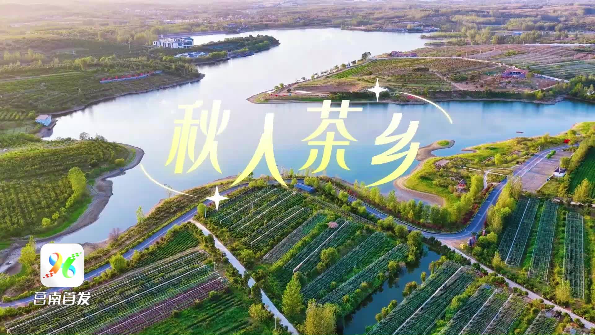 短视频|秋入茶乡