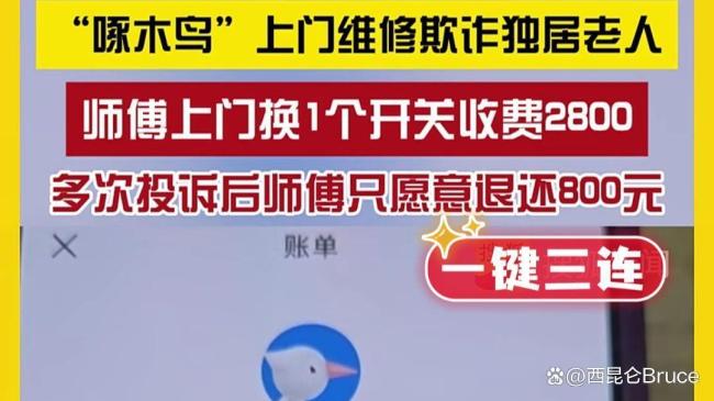 维修跳闸收费2800元,啄木鸟平台客服始终不给明细单据 高价维修引争议