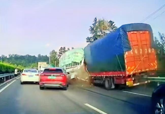 9万买的马车祸身亡 主人获赔13.5万 汗血宝马终得赔偿