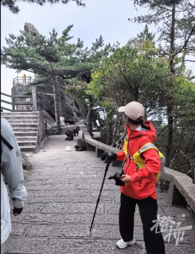姑娘爬黄山遭猴群围攻 打8针疫苗 游客惊魂未定