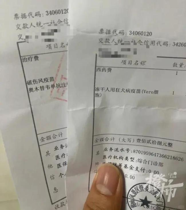 姑娘爬黄山遭猴群围攻 打8针疫苗 游客惊魂未定