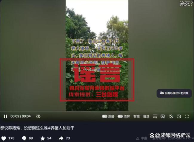 绵阳一养猪场单日死亡500头猪不实 网传信息引发关注