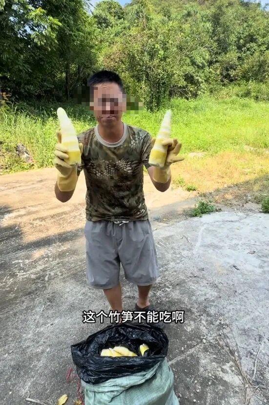 博主讲述跟踪调查硫磺熏笋经过 官方已介入查处