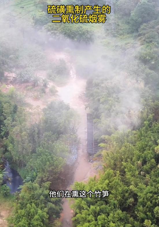博主讲述跟踪调查硫磺熏笋经过 官方已介入查处