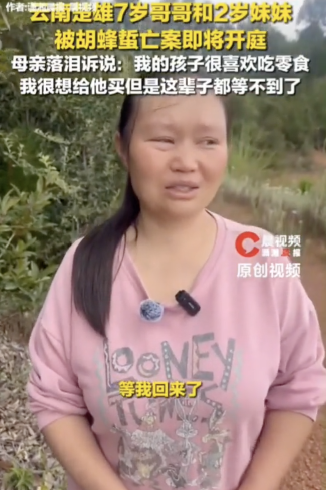 幼童蜇亡母亲称妹妹小救命都喊不出!