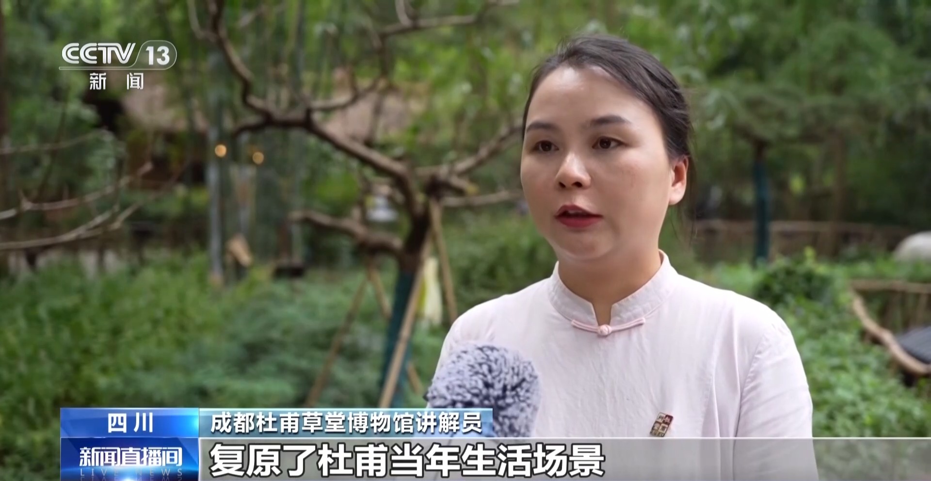 张伯礼谈中医药进校园!可游可品可学 中医药文化持续“圈粉”