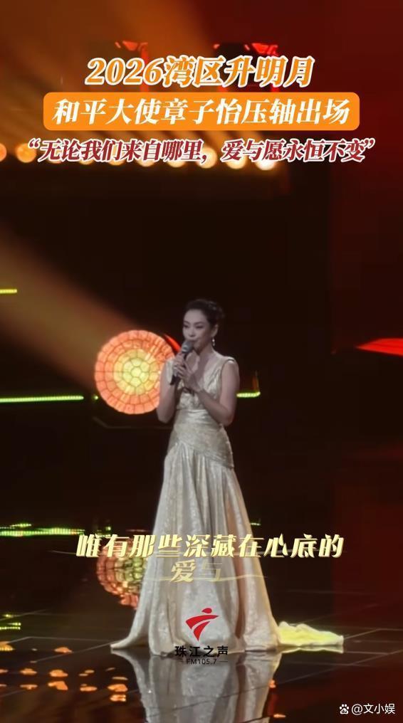 章子怡温柔讲述愿世界和平 和平大使的沉稳表达