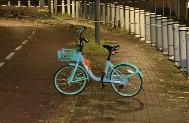 香港27岁女子被狗群追逐致死