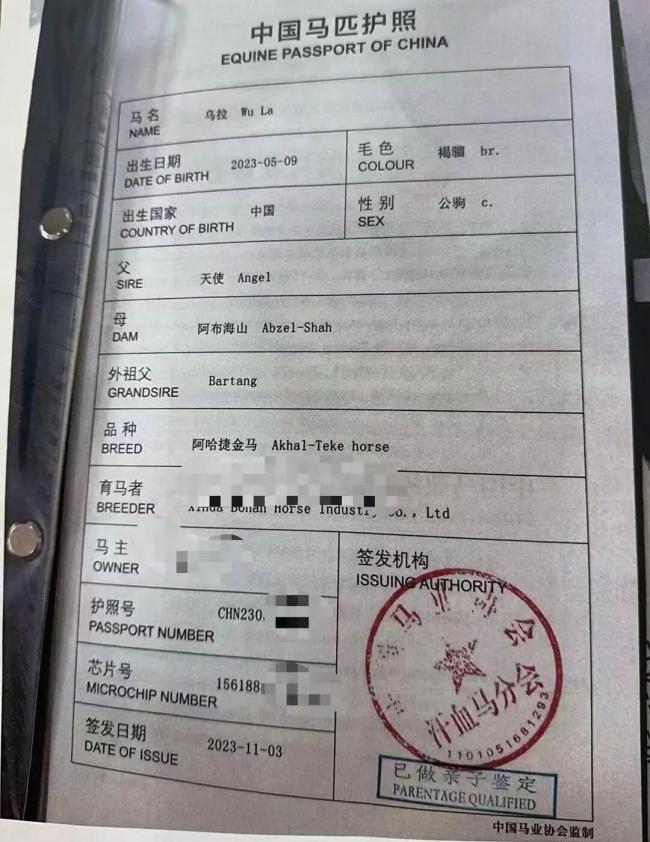 9万元买的汗血宝马车祸殒命 赔偿官司终落幕