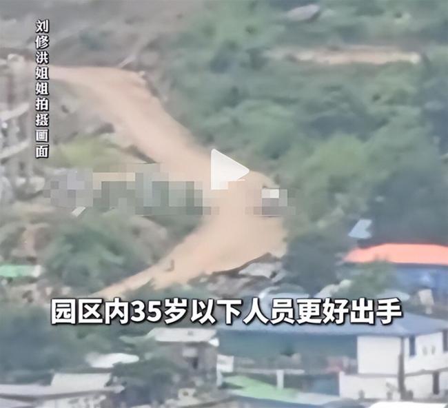 男子称因超龄被当赠品卖进电诈园区 中医技能助其改善处境