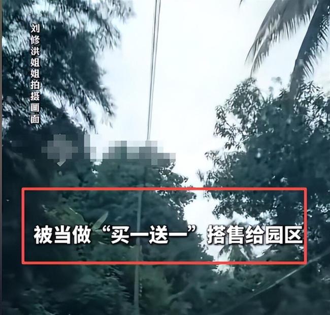 男子称因超龄被当赠品卖进电诈园区 中医技能助其改善处境