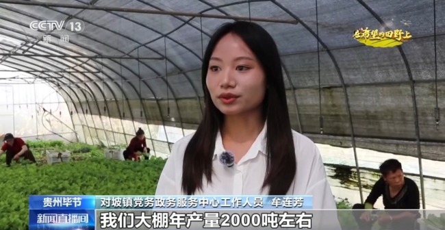 菜篮子、米袋子、果盘子 多地特色农业喜迎丰收