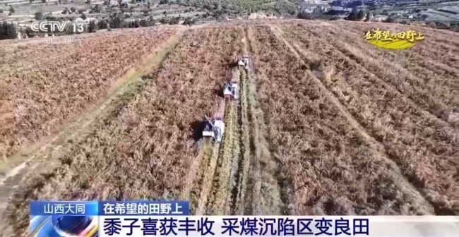 菜篮子、米袋子、果盘子 多地特色农业喜迎丰收