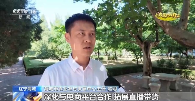 菜篮子、米袋子、果盘子 多地特色农业喜迎丰收