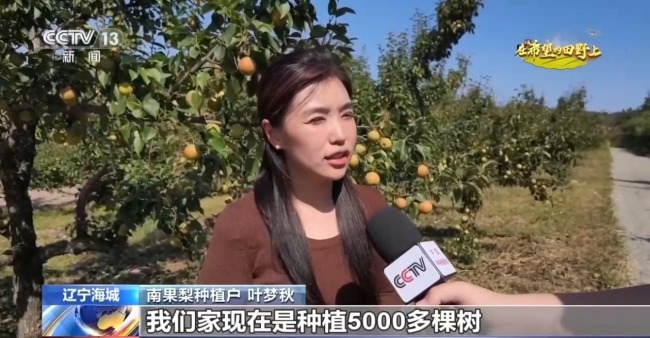 菜篮子、米袋子、果盘子 多地特色农业喜迎丰收