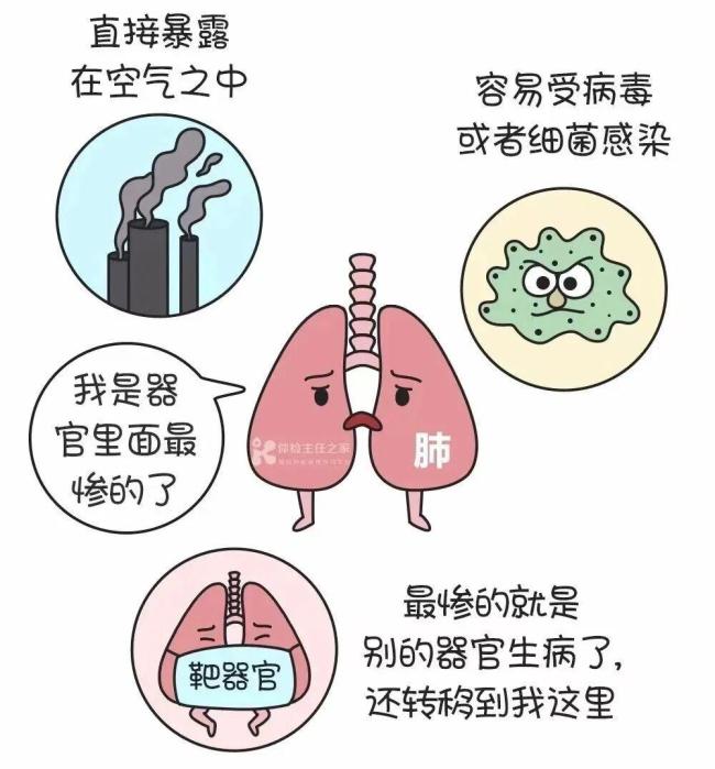 钟南山团队:超7成肺癌病例不吸烟无粉尘暴露 非高危人群需警惕