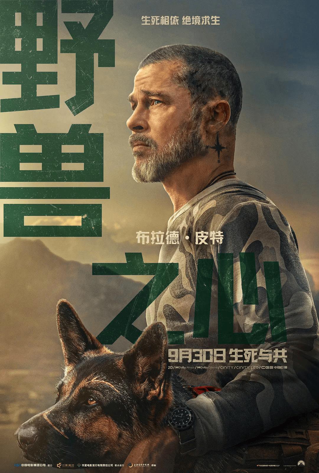 数量多,体量弱,国庆档牌面不足