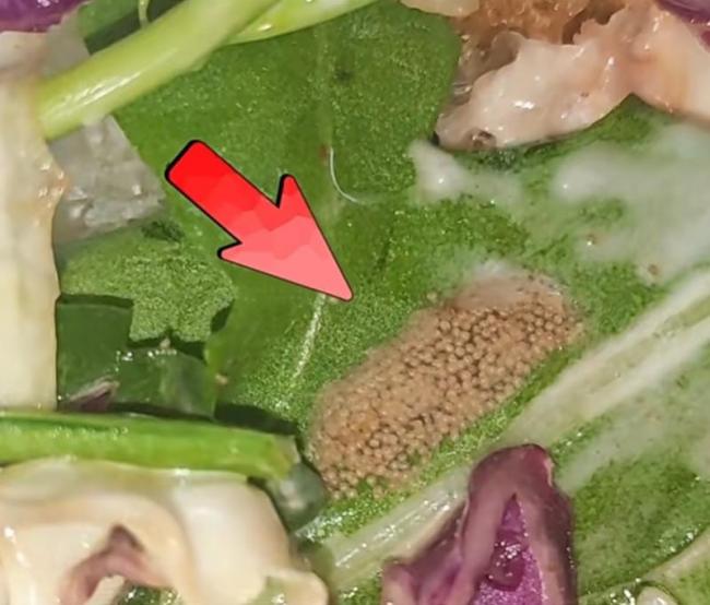 商家回应三明治中出现密集虫卵