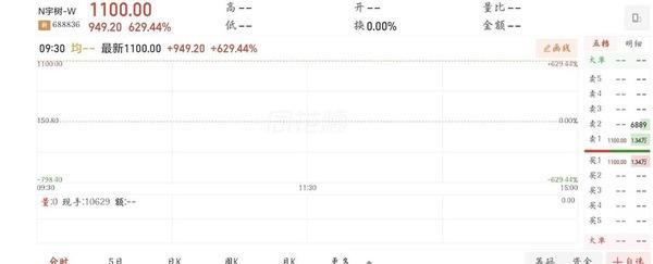 年内最便宜新股,暴涨600% 高估值引发市场热议