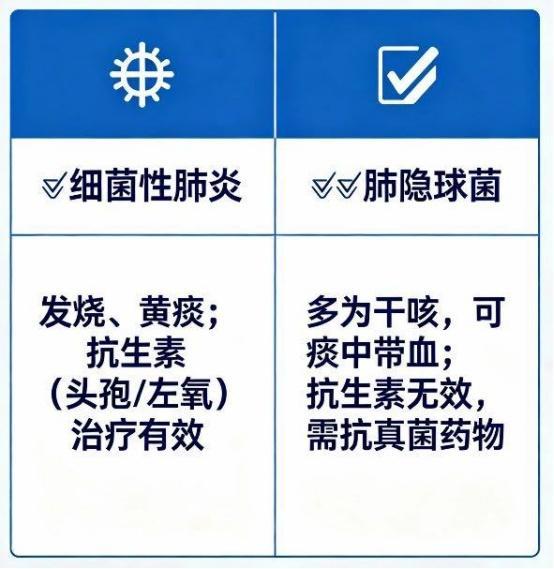 小伙阳台养鸡鸭肺部长出“空洞” 真菌感染隐患大