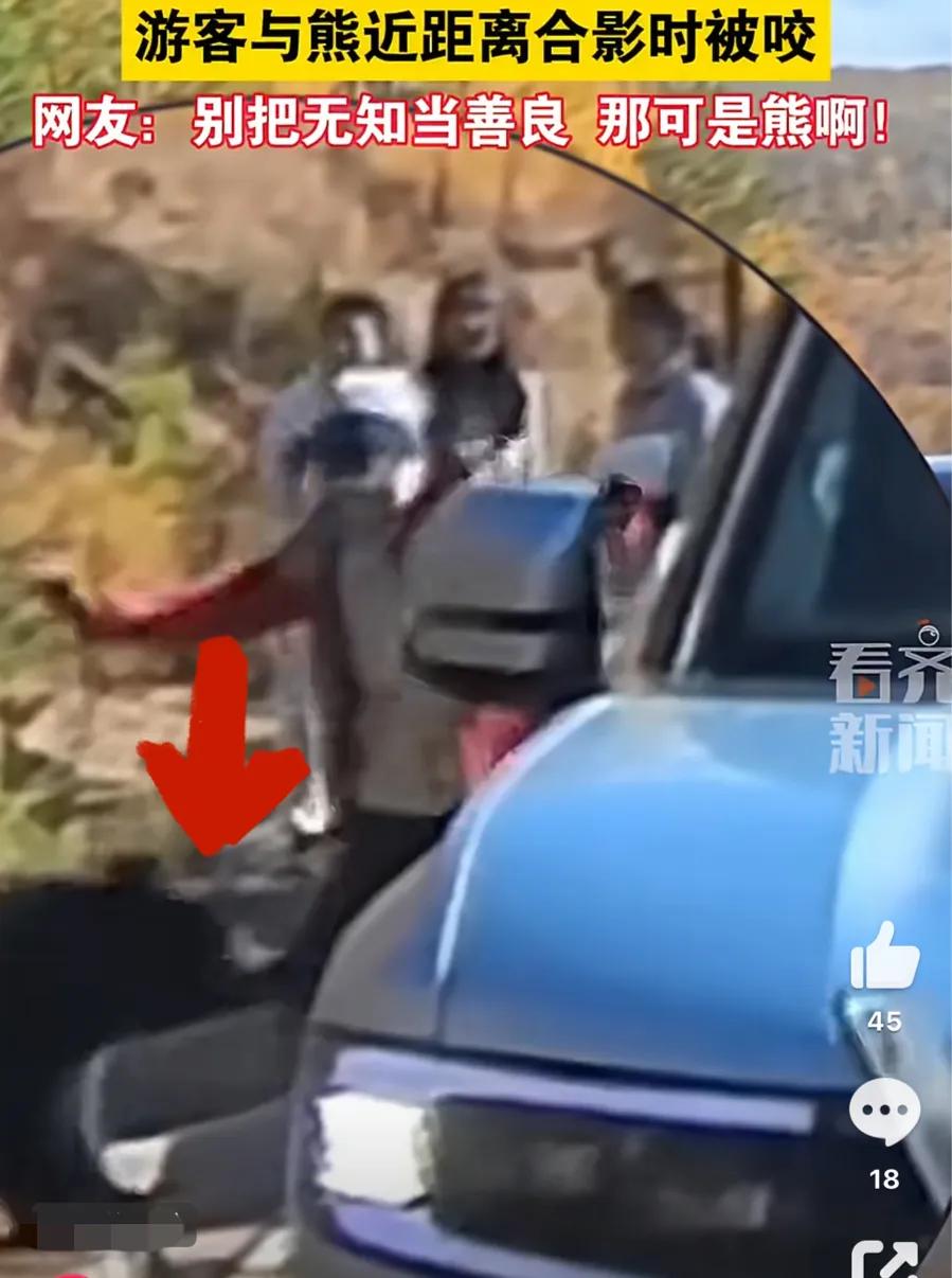 自驾游客下车投喂野熊被咬裤腿 网友:别把无知当善良 那可是熊啊!