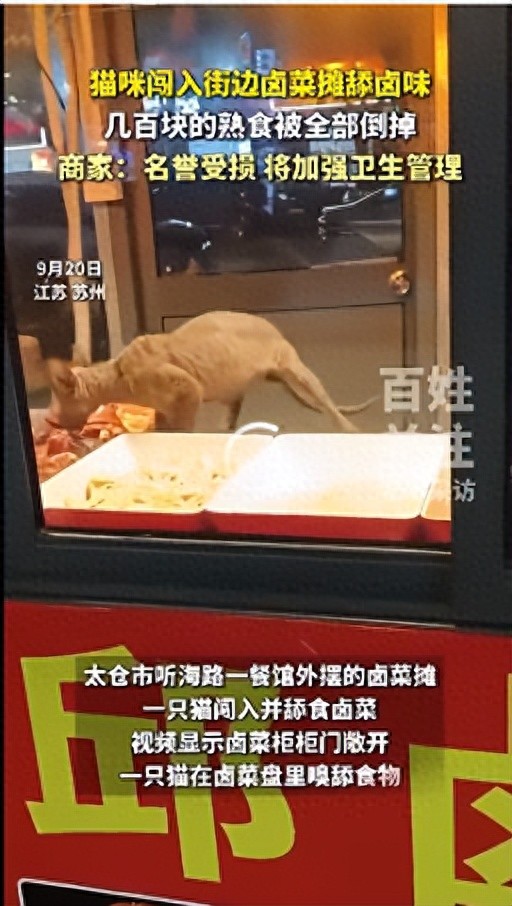 江苏一卤菜摊遭猫闯进舔食,涉事商家:不知道猫从何处进入,相关卤菜已全部清理