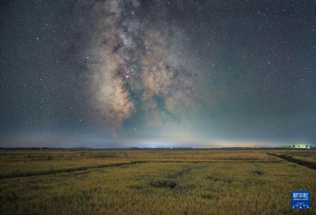 “北大仓”迎来丰收季 星空下的浪漫图景