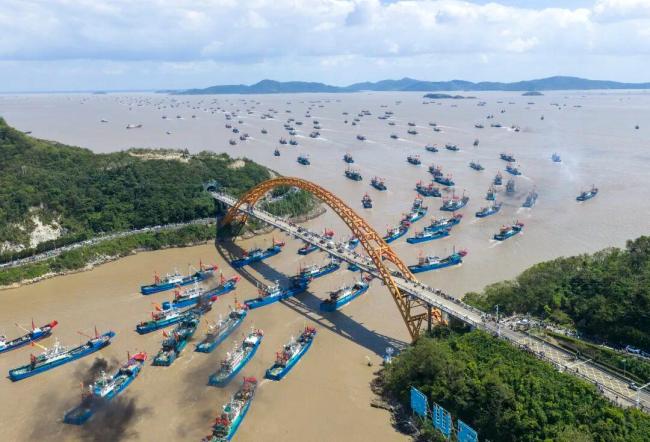 这回真的海鲜自由了 四大海域全面开渔