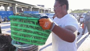 这回真的海鲜自由了 四大海域全面开渔